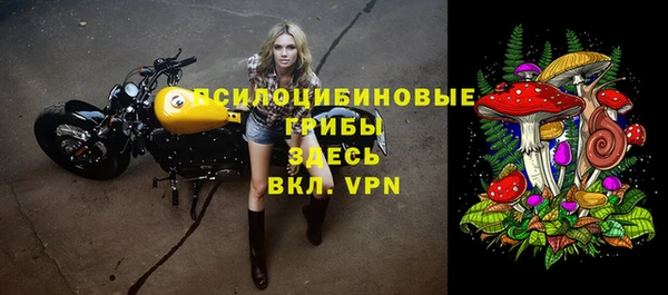 экстази Новодвинск
