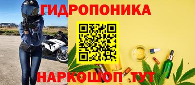 индика Кинель