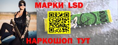 гидропоника Кингисепп