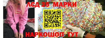 гидропоника Кингисепп