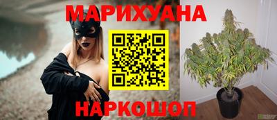индика Кинель