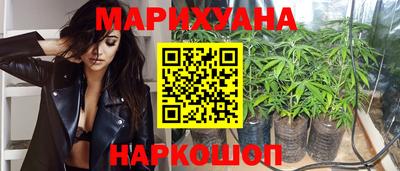 индика Кинель