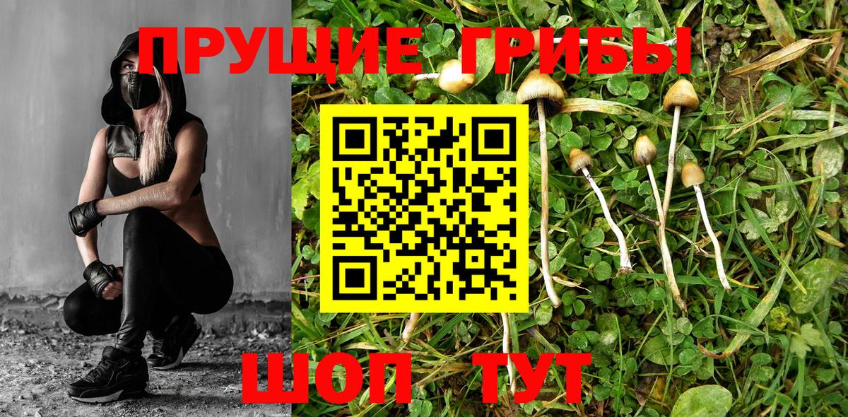 Галлюциногенные грибы мицелий Улан-Удэ